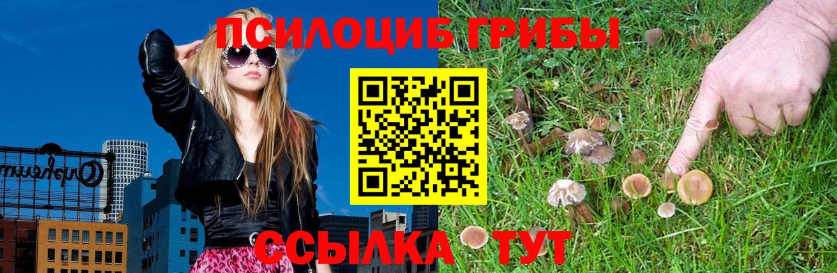 Чебоксары  Псилоцибиновые грибы Psilocybine cubensis  Вход с VPN 